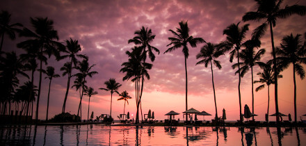 Visa requirements for Turkey passport holders traveling to Sri Lanka